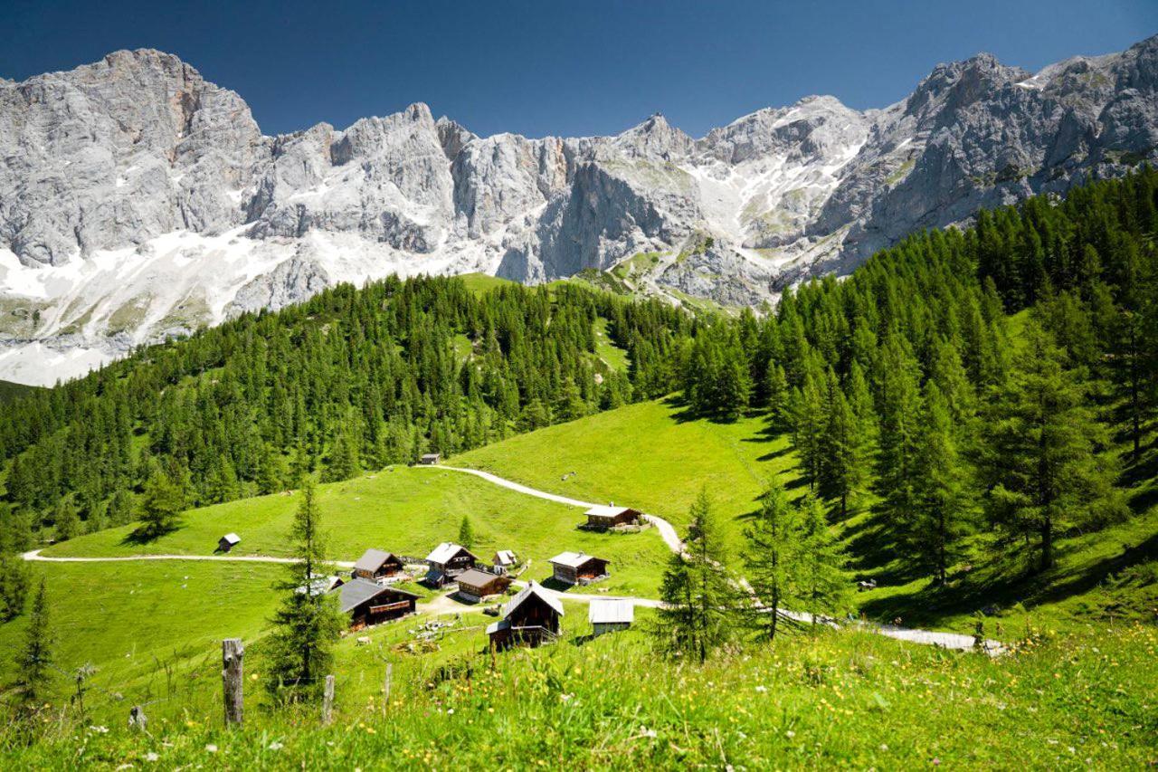 Apartman Ramsau Ramsau am Dachstein Eksteriør bilde